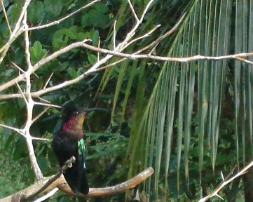 DSC04820.JPG