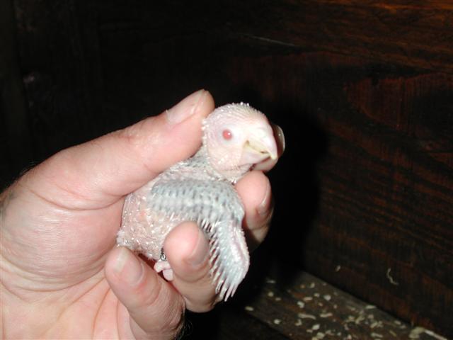 DSCN4570 (Small).JPG