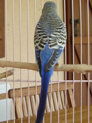 male001.jpg