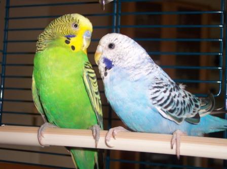couple.JPG