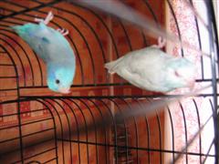 foto diverse 044 (WinCE).jpg