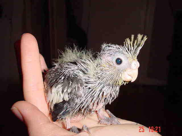 bebe02.jpg