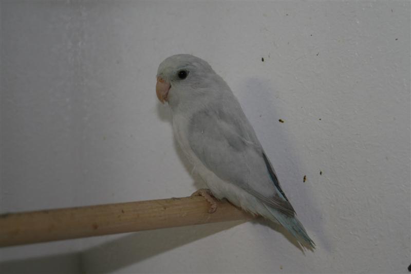 IMG_2558 (Medium).JPG