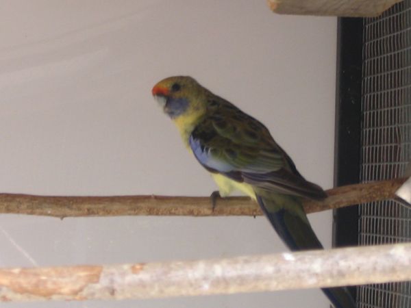 IMG_7795fl.jpg