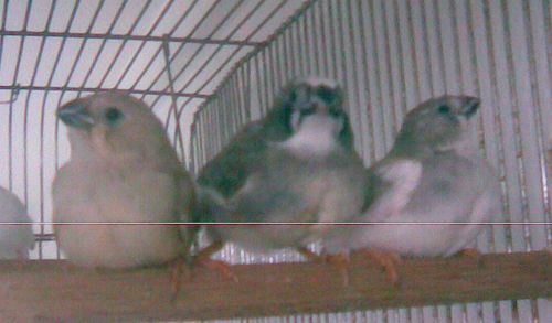 Photo011.jpg