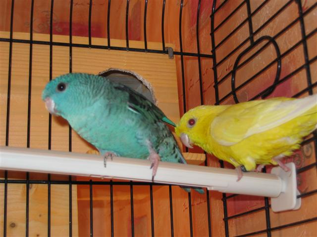 foto diverse 032 (Small).jpg