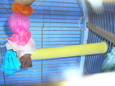 oiseaux001.jpg