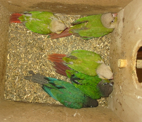 jeunes 2007.JPG