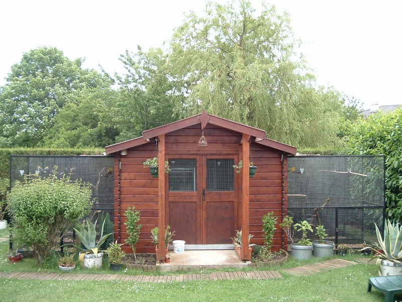 05-06-05 C.JPG