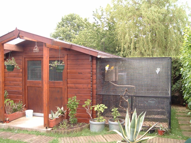 05-06-05 B.JPG