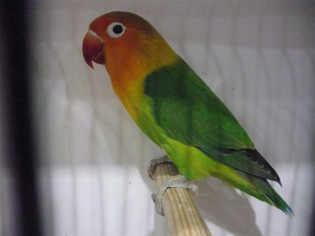 P1010207.JPG