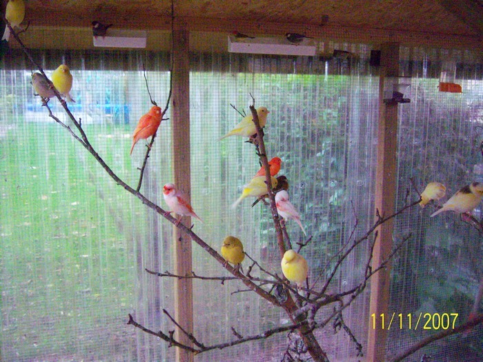 100_0043.jpg