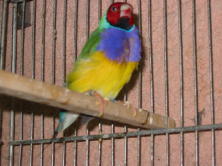 125-2571_IMG.JPG