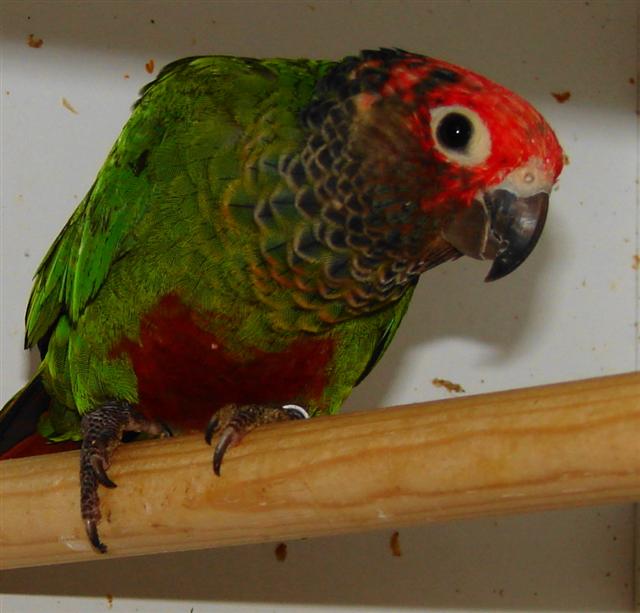 DSC00499 (Small).JPG