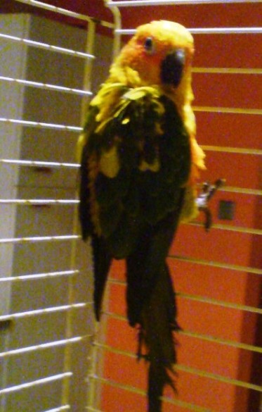 DSC01238.JPG