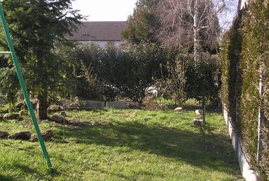 entre les piquets.jpg