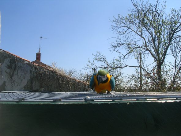 DSCN4060.JPG