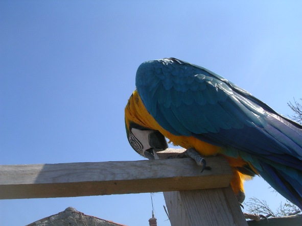 DSCN4070.JPG