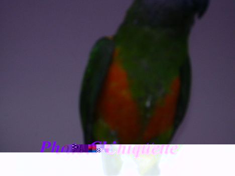 DSCN0670.jpg