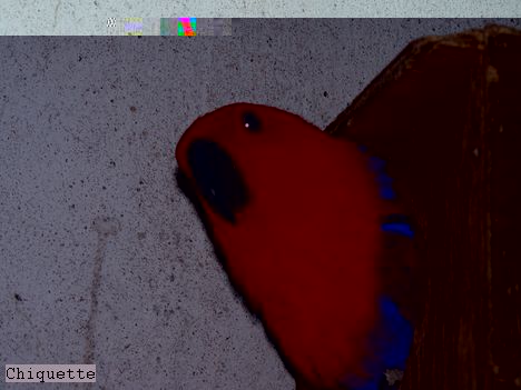 P1030443.jpg