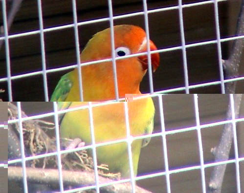 DSC00058.JPG
