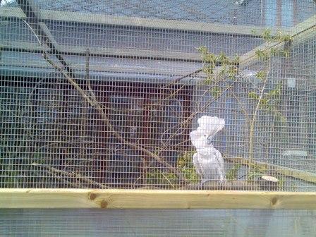 Photo006.jpg