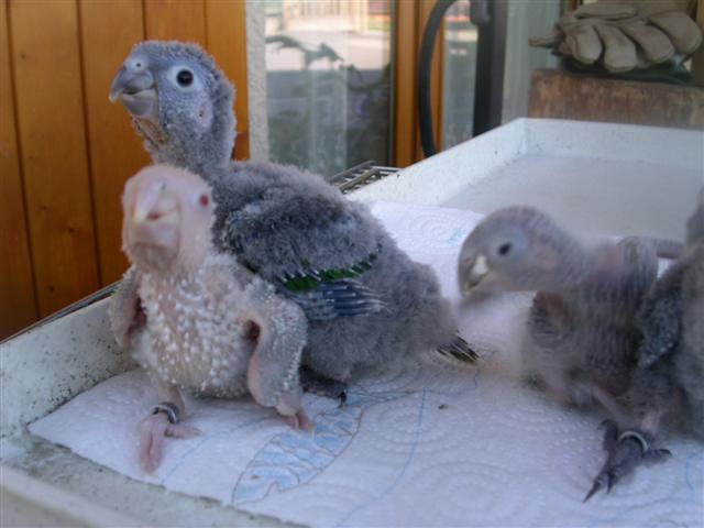 PICT0126 (Small).JPG