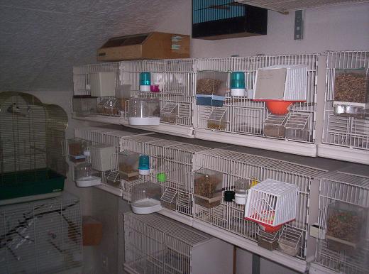100_0797.JPG