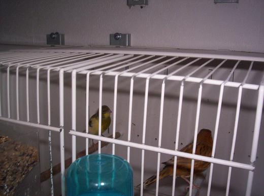 100_0802.JPG