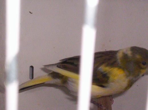 100_0811.JPG