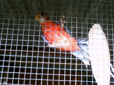 PICT0056_5.jpg