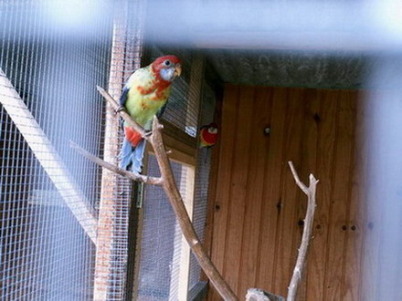 PICT0057_6.jpg