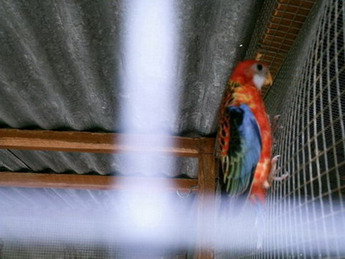 PICT0058_7.jpg