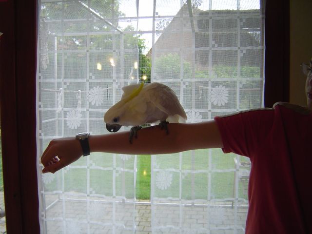 DSC05706.JPG