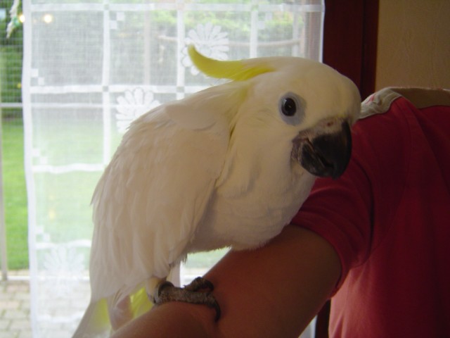 DSC05711.JPG