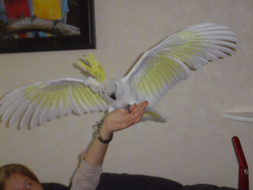 27346604_m[1].jpg