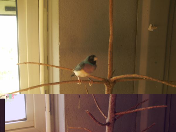 PHOT0003.JPG
