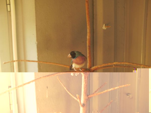 PHOT0005.JPG