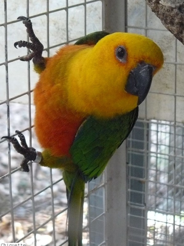 P1010250.jpg
