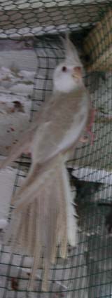 IMG_1826.jpg