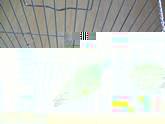 youyou 60ko.jpg