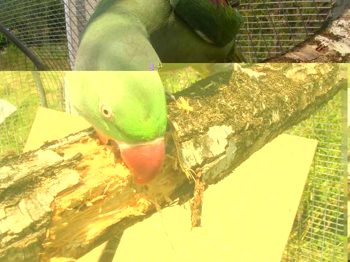DSCN4968.JPG