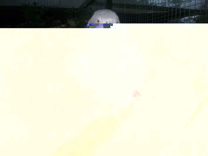 DSCN5278.JPG