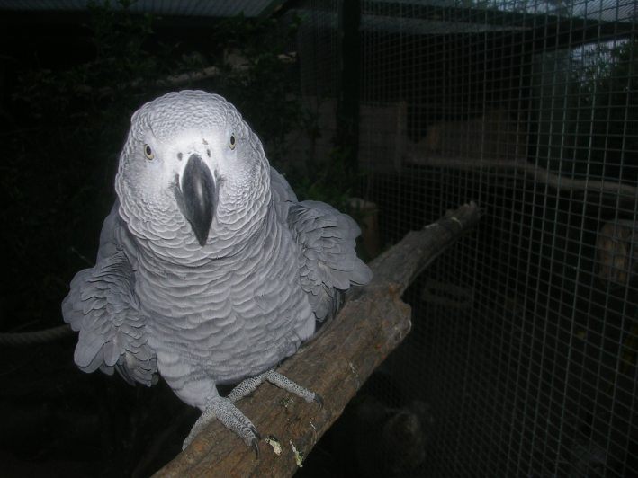 DSCN5279.JPG