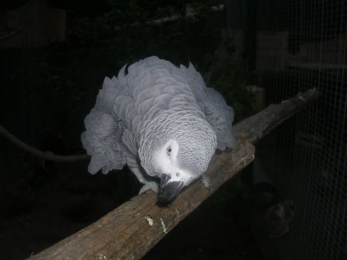 DSCN5280.JPG