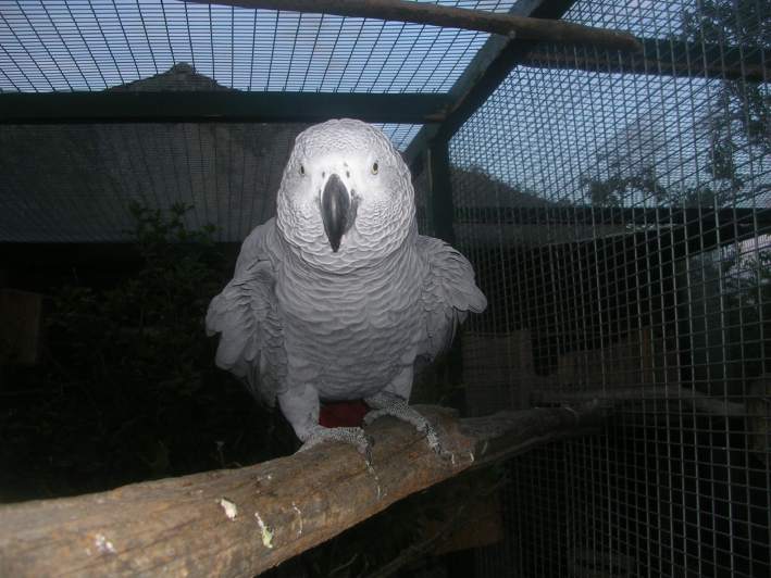 DSCN5283.JPG