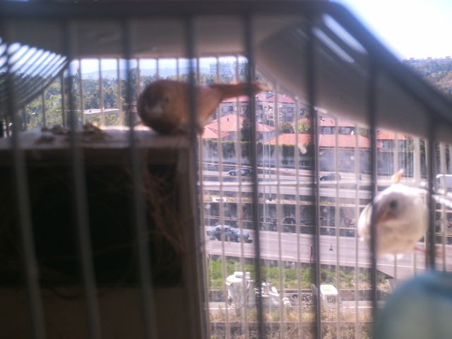 PHOT0004.JPG