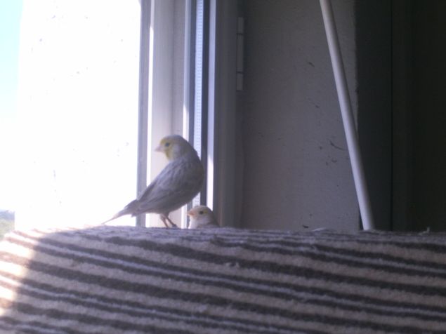 PHOT0020.JPG