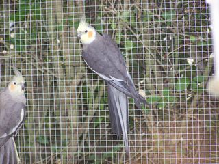 100_1463.JPG