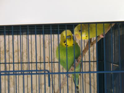 1699819418_small.jpg